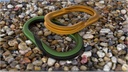 Rhino Upgrade — 13_cycles-carabiners-david-rutten